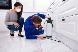 Professional Pest Control in Clearlake Oaks, CA